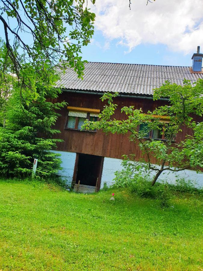 Draga Koncar Guest House Vrelo Korenicko Exterior photo